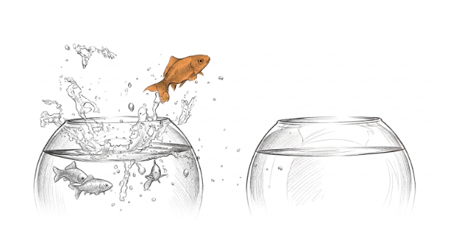 Hand-drawn orange fish leaping between two bowls