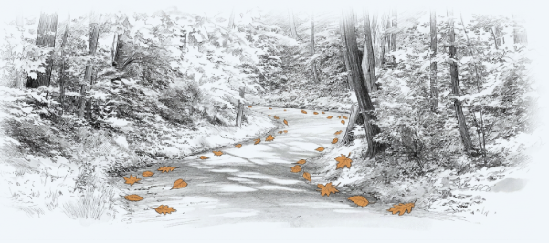 Hand-drawn forest trail with orange leaves